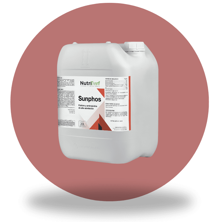Sunphos: Tecnología diseñada para optimizar los procesos de absorción radicular y foliar descritos."